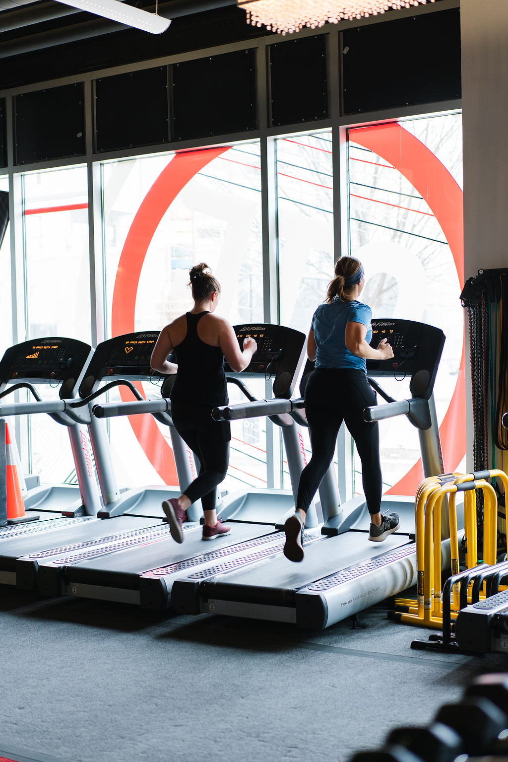 What is a Full-Body Workout? Benefits, and All You Need To Know